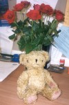 The teddy and the roses