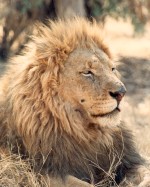 This guy's seen some action